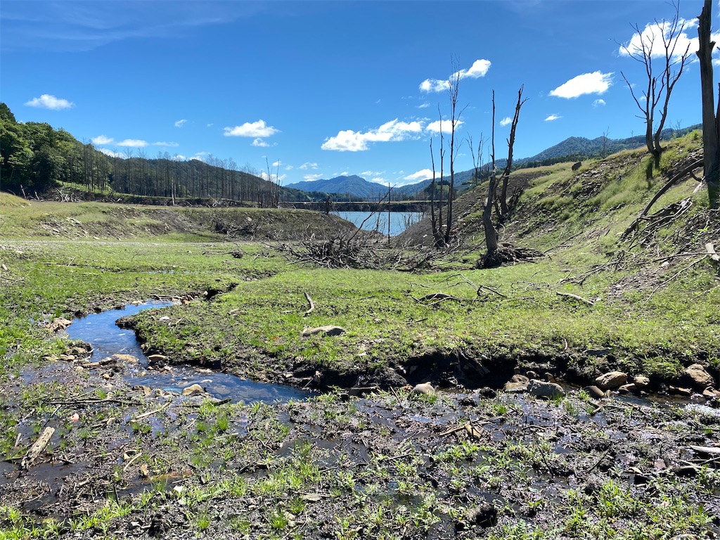 f:id:irodoriirodori:20200907113104j:image f:id:irodoriirodori:20200907113104j:image