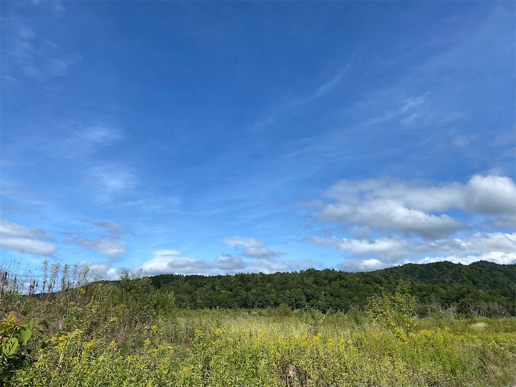 f:id:irodoriirodori:20200907113234j:image f:id:irodoriirodori:20200907113234j:image