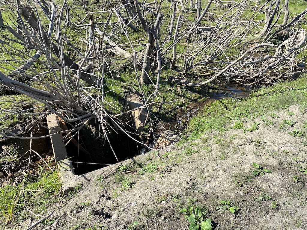 f:id:irodoriirodori:20200907113404j:image f:id:irodoriirodori:20200907113404j:image