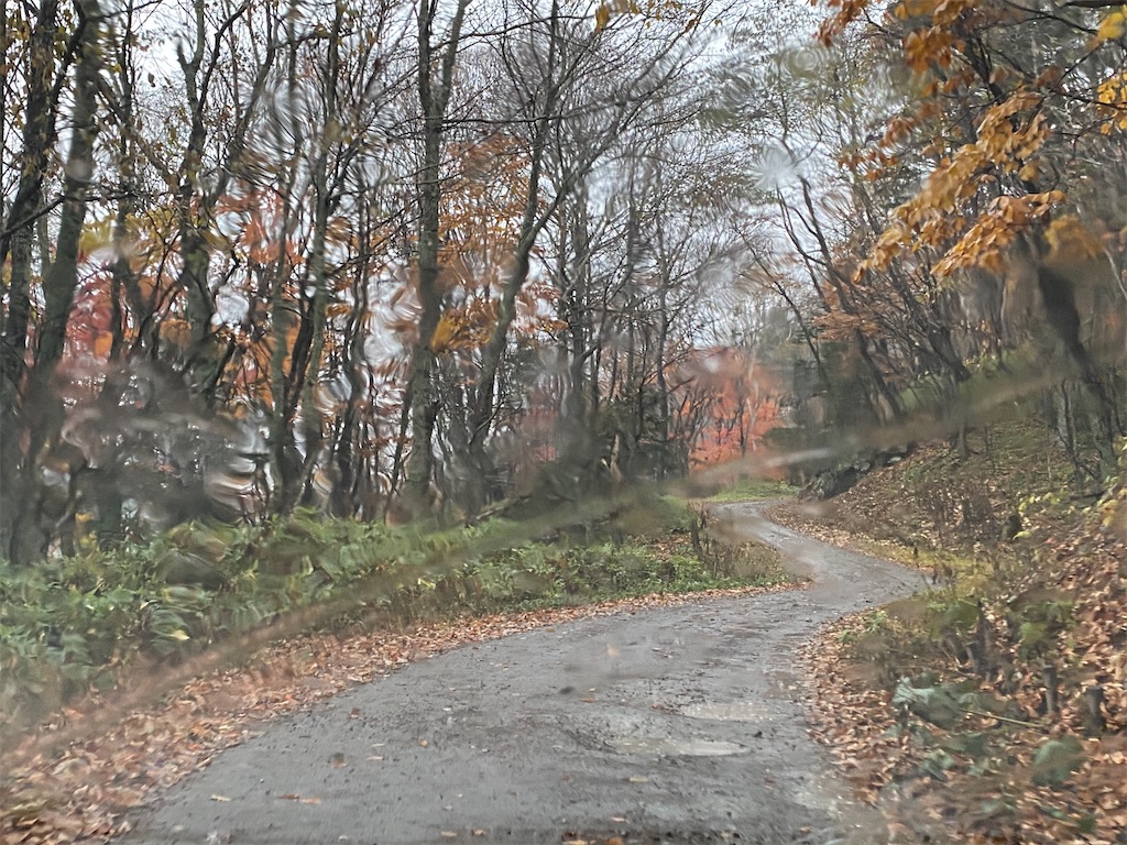 f:id:irodoriirodori:20201111021240j:image f:id:irodoriirodori:20201111021240j:image