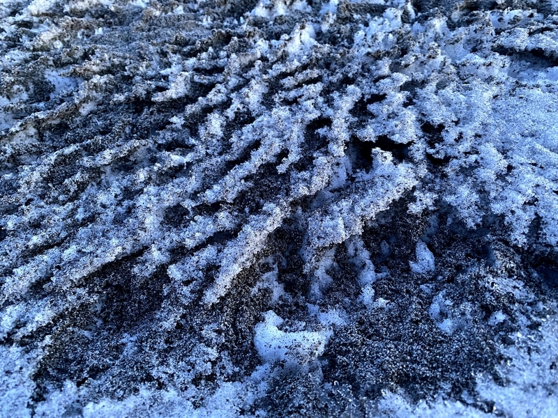 f:id:irodoriirodori:20210206230109j:plain