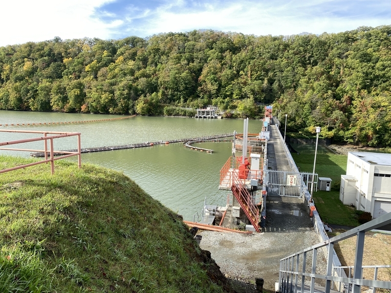 f:id:irodoriirodori:20211014011421j:plain