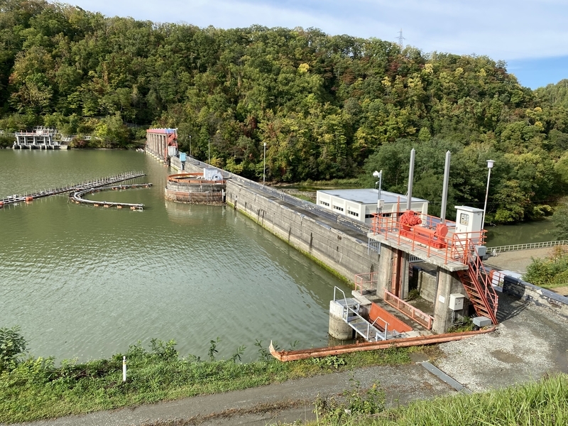 f:id:irodoriirodori:20211014011429j:plain