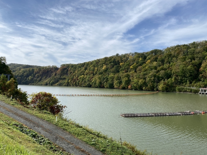 f:id:irodoriirodori:20211014011448j:plain