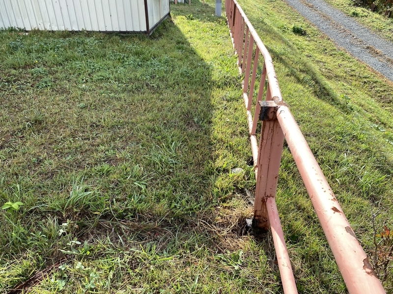 f:id:irodoriirodori:20211014014600j:plain