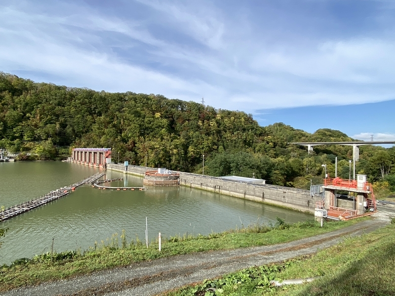 f:id:irodoriirodori:20211014014609j:plain