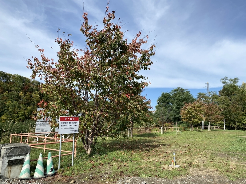 f:id:irodoriirodori:20211014015104j:plain