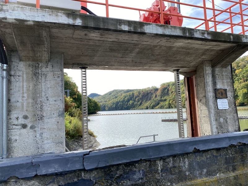 f:id:irodoriirodori:20211014021043j:plain