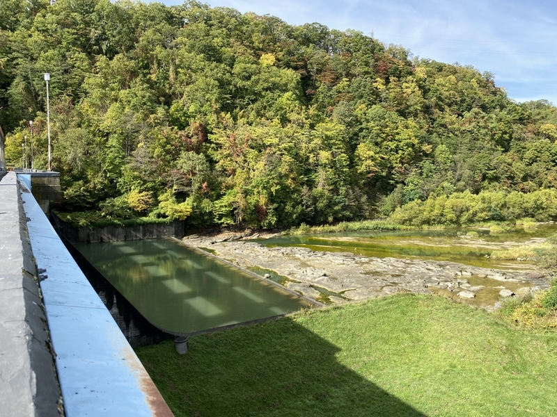 f:id:irodoriirodori:20211014021144j:plain