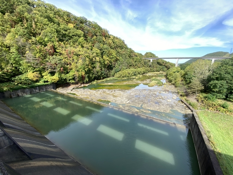 f:id:irodoriirodori:20211014021202j:plain