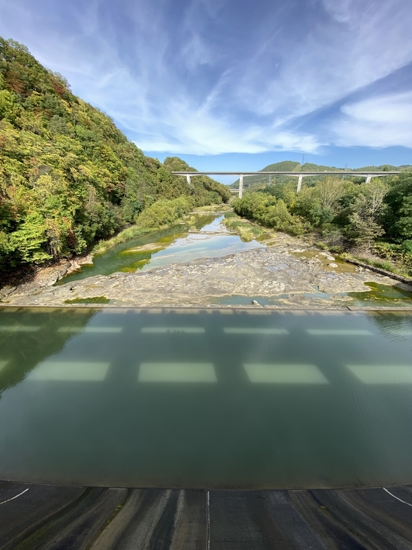 f:id:irodoriirodori:20211014021226j:plain