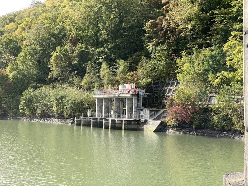 f:id:irodoriirodori:20211014021327j:plain