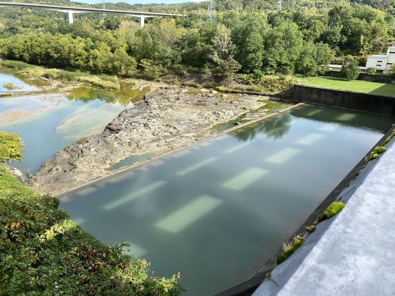 f:id:irodoriirodori:20211014021336j:plain