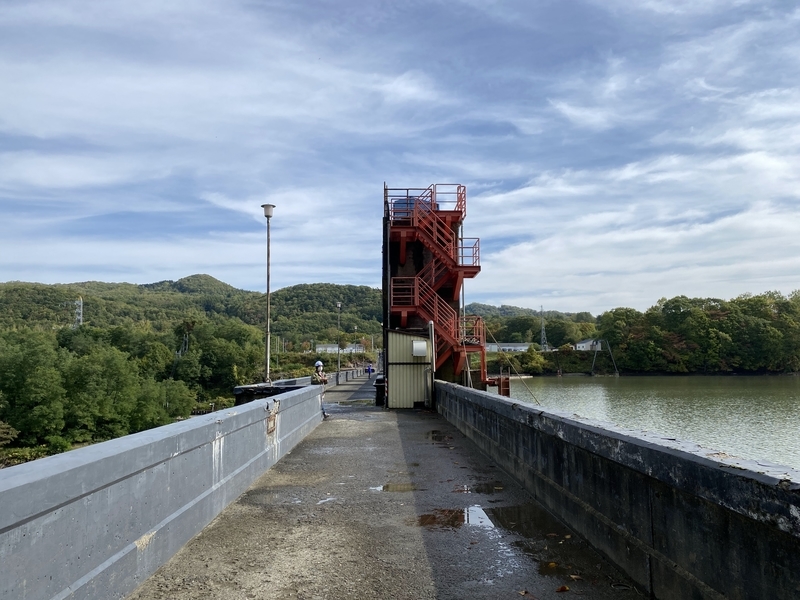 f:id:irodoriirodori:20211014021344j:plain