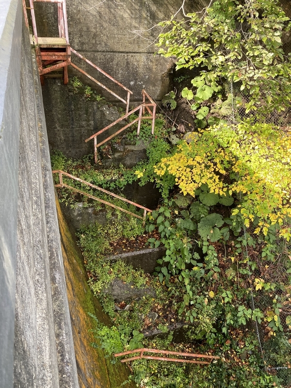 f:id:irodoriirodori:20211014021353j:plain