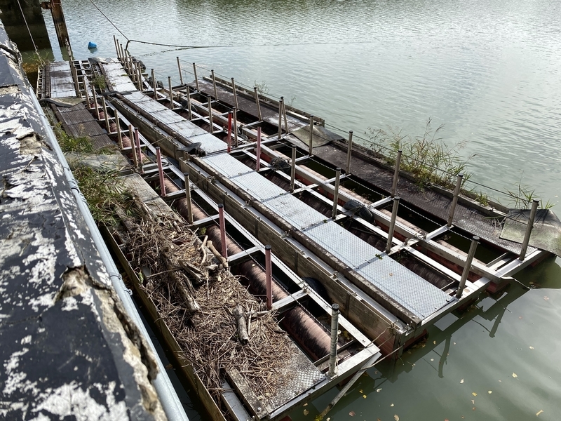 f:id:irodoriirodori:20211014021411j:plain