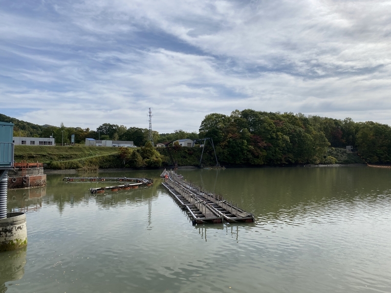 f:id:irodoriirodori:20211014021428j:plain