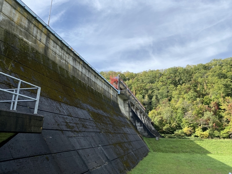 f:id:irodoriirodori:20211014022827j:plain