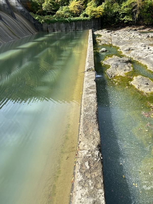 f:id:irodoriirodori:20211014022910j:plain