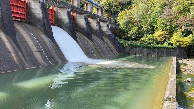 f:id:irodoriirodori:20211014022918j:plain