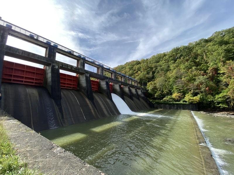 f:id:irodoriirodori:20211014023649j:plain