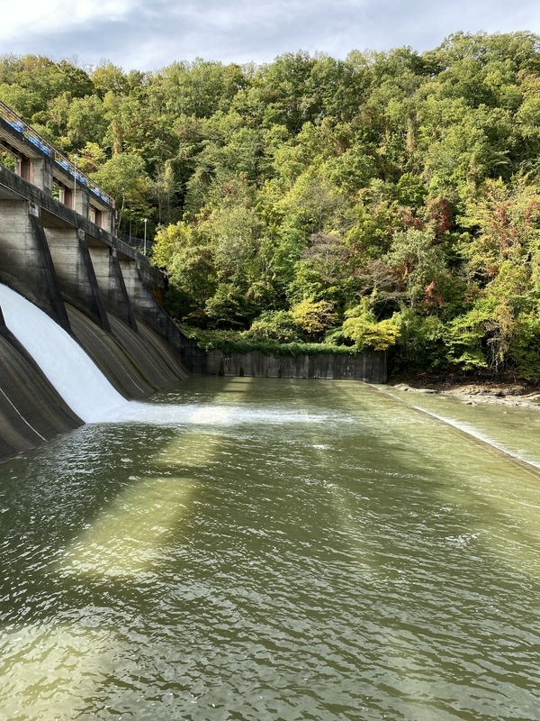 f:id:irodoriirodori:20211014023658j:plain