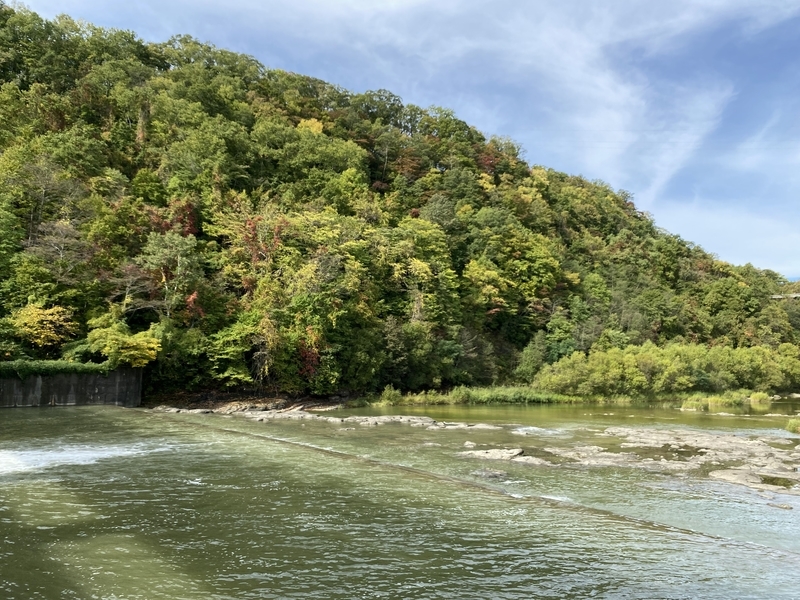 f:id:irodoriirodori:20211014023740j:plain