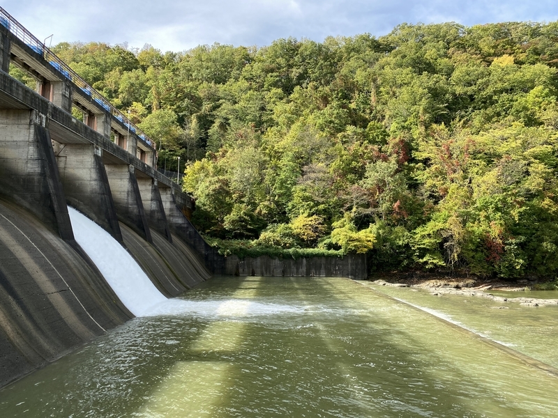 f:id:irodoriirodori:20211014023749j:plain