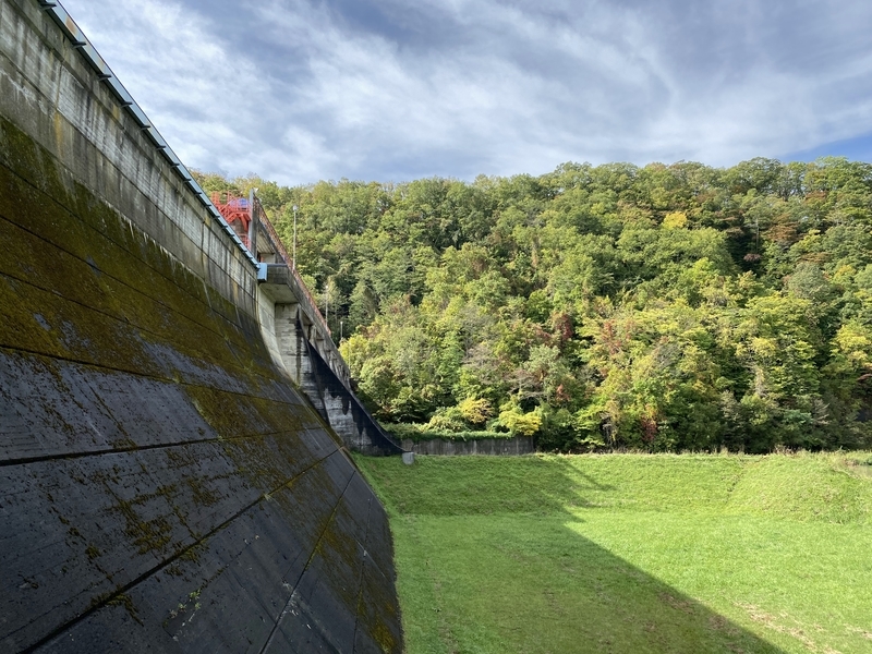 f:id:irodoriirodori:20211014024336j:plain