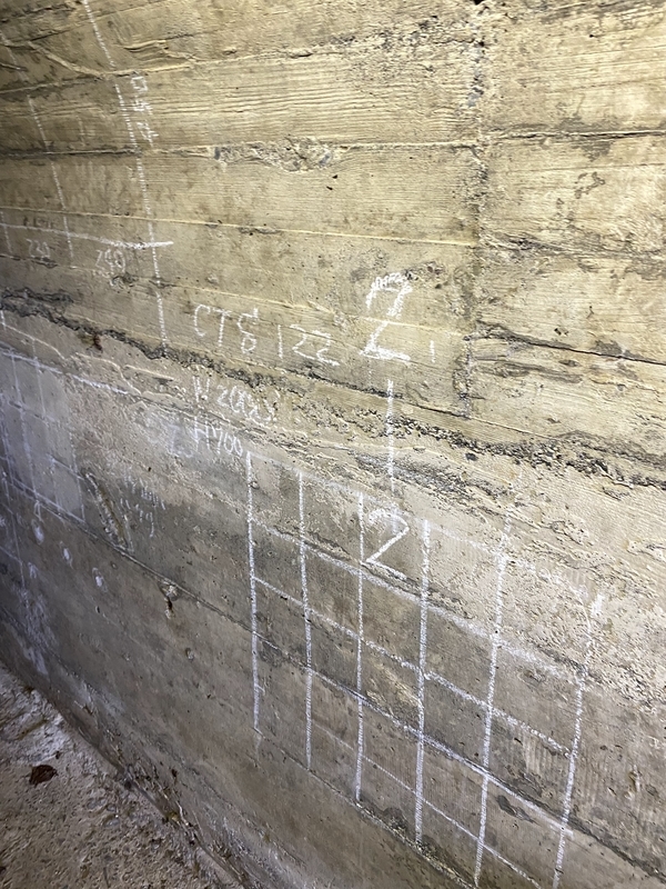 f:id:irodoriirodori:20211014024353j:plain