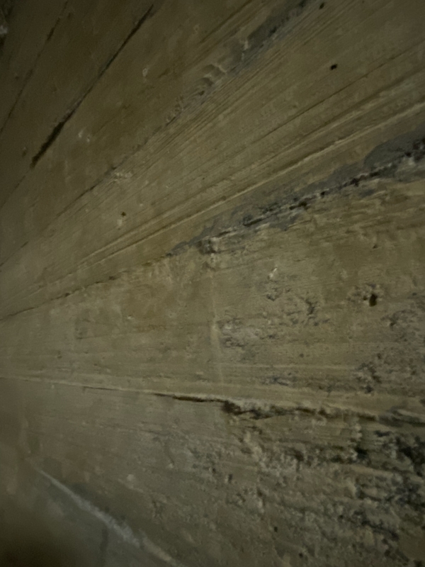 f:id:irodoriirodori:20211014024411j:plain