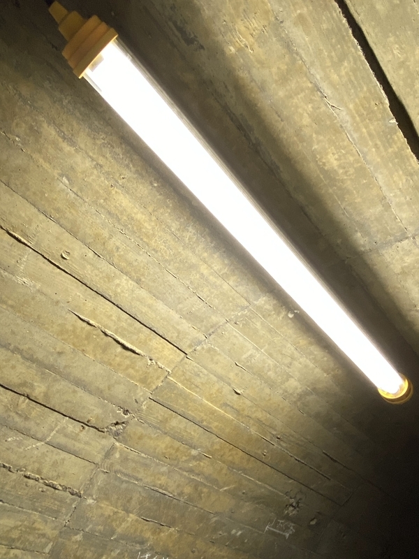 f:id:irodoriirodori:20211014024420j:plain