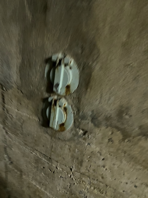 f:id:irodoriirodori:20211014024435j:plain