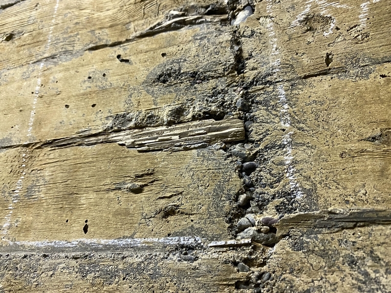 f:id:irodoriirodori:20211014024521j:plain