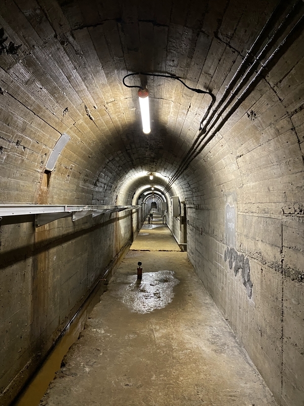 f:id:irodoriirodori:20211014024529j:plain