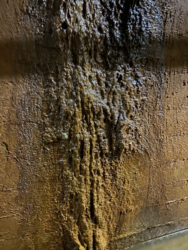 f:id:irodoriirodori:20211014024602j:plain