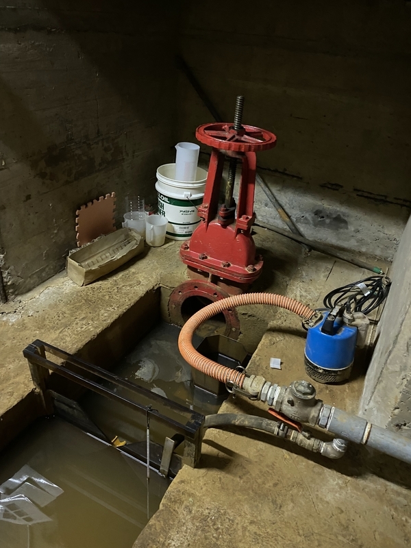 f:id:irodoriirodori:20211014024609j:plain