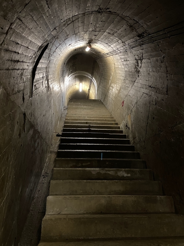 f:id:irodoriirodori:20211014024717j:plain