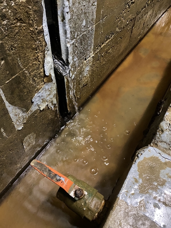 f:id:irodoriirodori:20211014024732j:plain