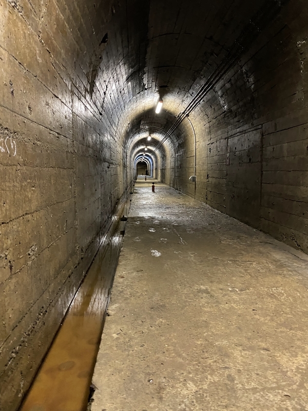 f:id:irodoriirodori:20211014024739j:plain