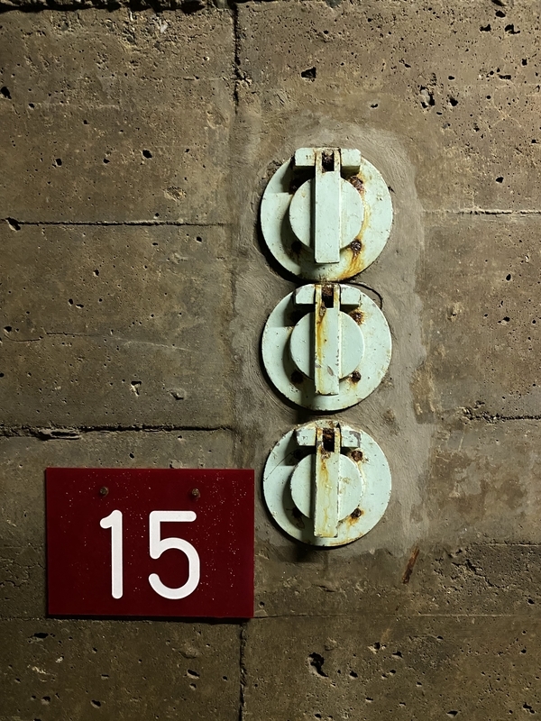 f:id:irodoriirodori:20211014024747j:plain