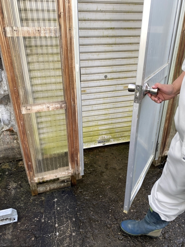 f:id:irodoriirodori:20211014025249j:plain