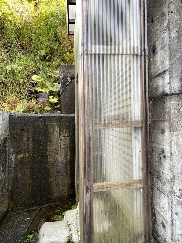 f:id:irodoriirodori:20211014025417j:plain