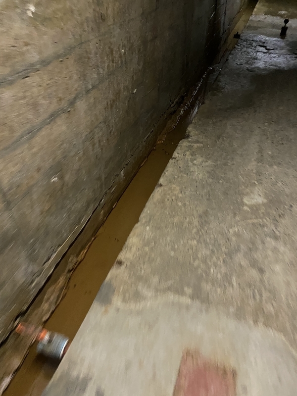 f:id:irodoriirodori:20211014025440j:plain