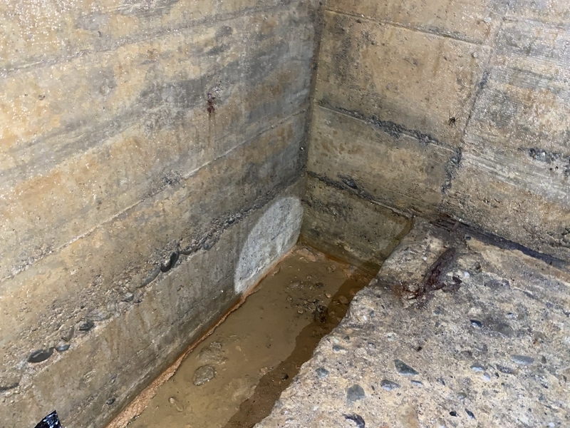 f:id:irodoriirodori:20211014025457j:plain