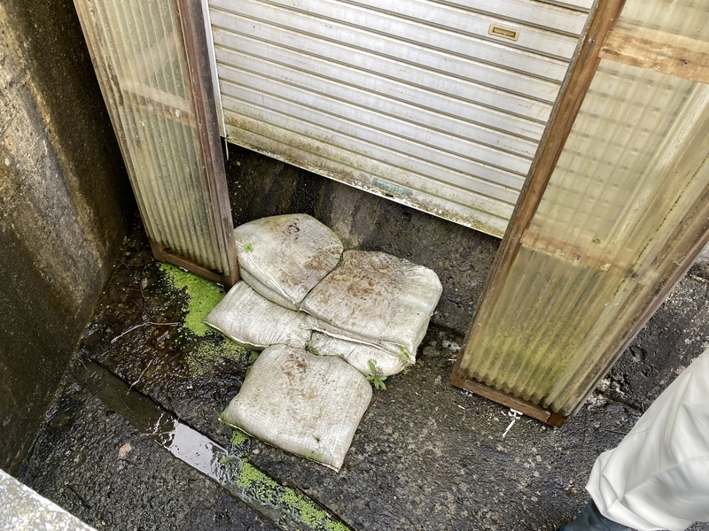 f:id:irodoriirodori:20211014025505j:plain