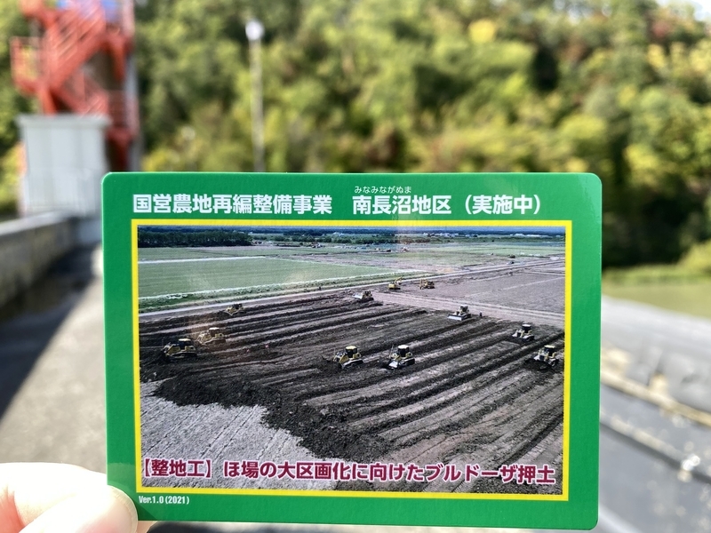 f:id:irodoriirodori:20211014025741j:plain