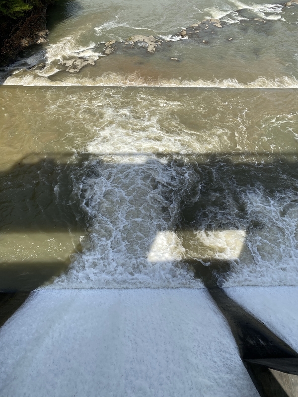 f:id:irodoriirodori:20211014025952j:plain