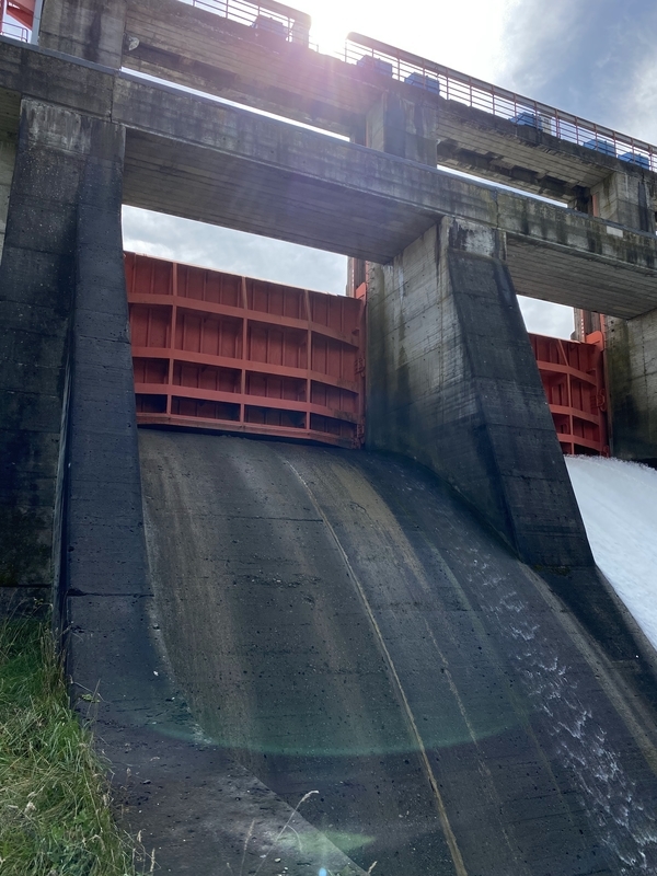 f:id:irodoriirodori:20211014030118j:plain