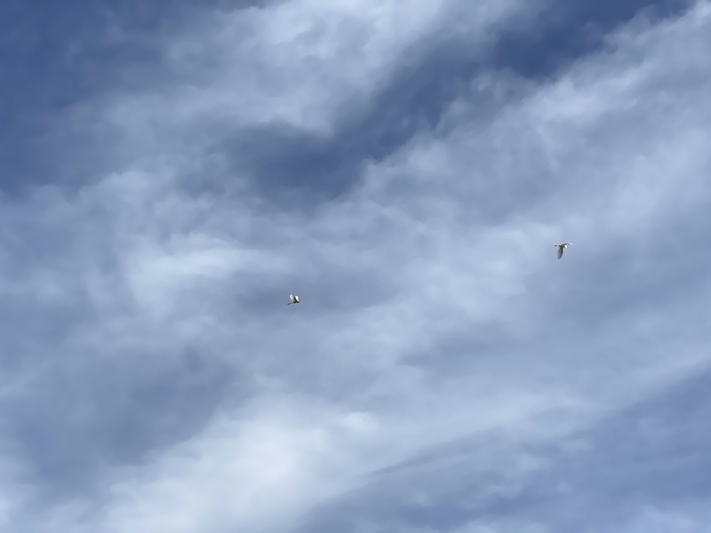 f:id:irodoriirodori:20211014030141j:plain